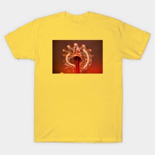 The twist T-Shirt